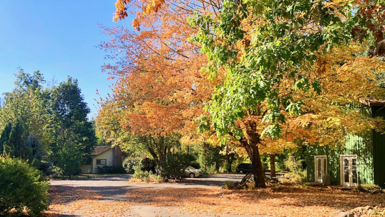 Mckenzie River Mountain Resort Blue River Bagian luar foto