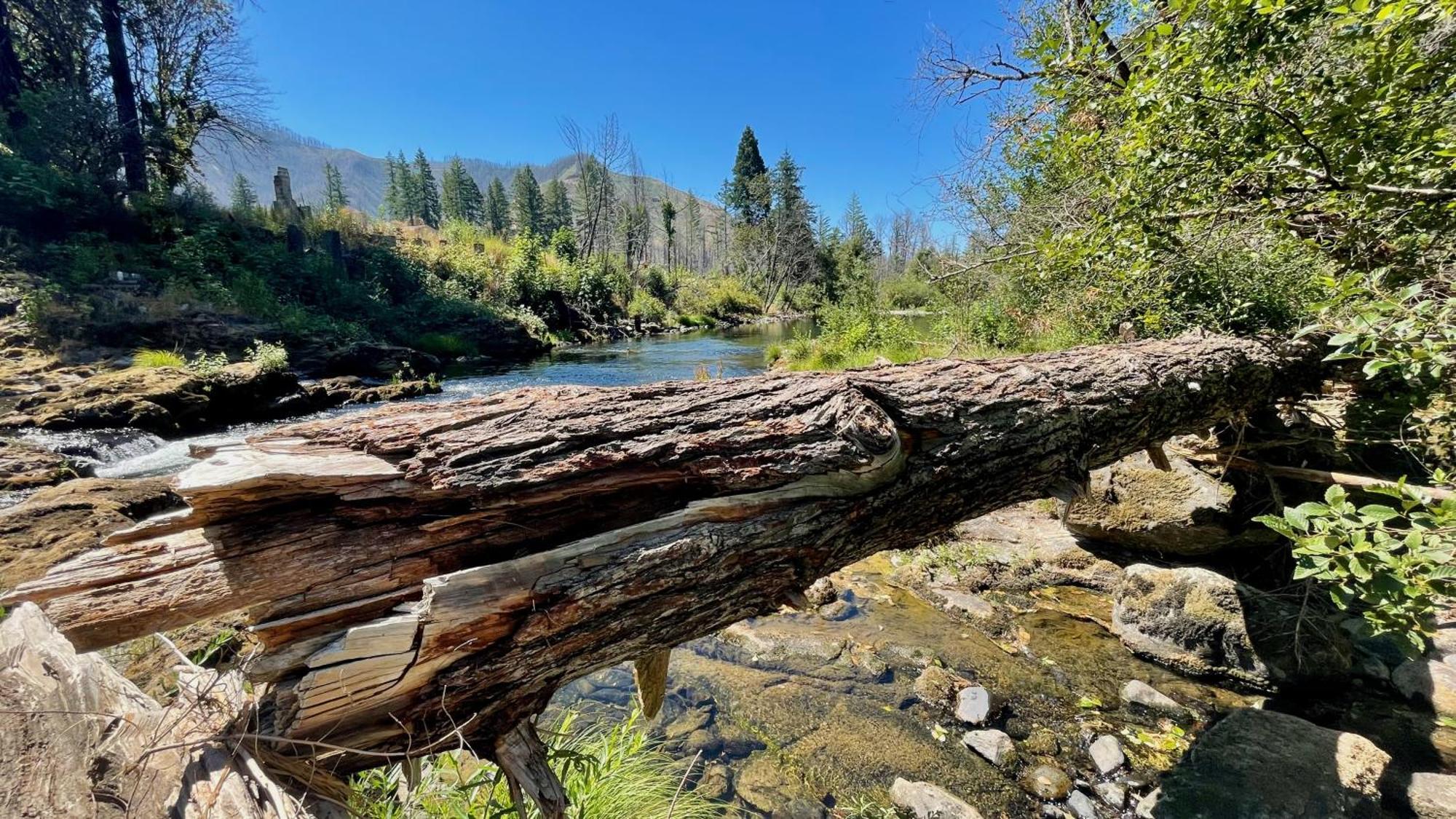 Mckenzie River Mountain Resort Blue River Bagian luar foto